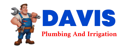 Trusted plumber in COLLINS